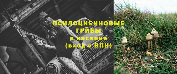 ECSTASY Надым
