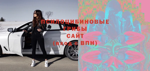 соль ск Аша